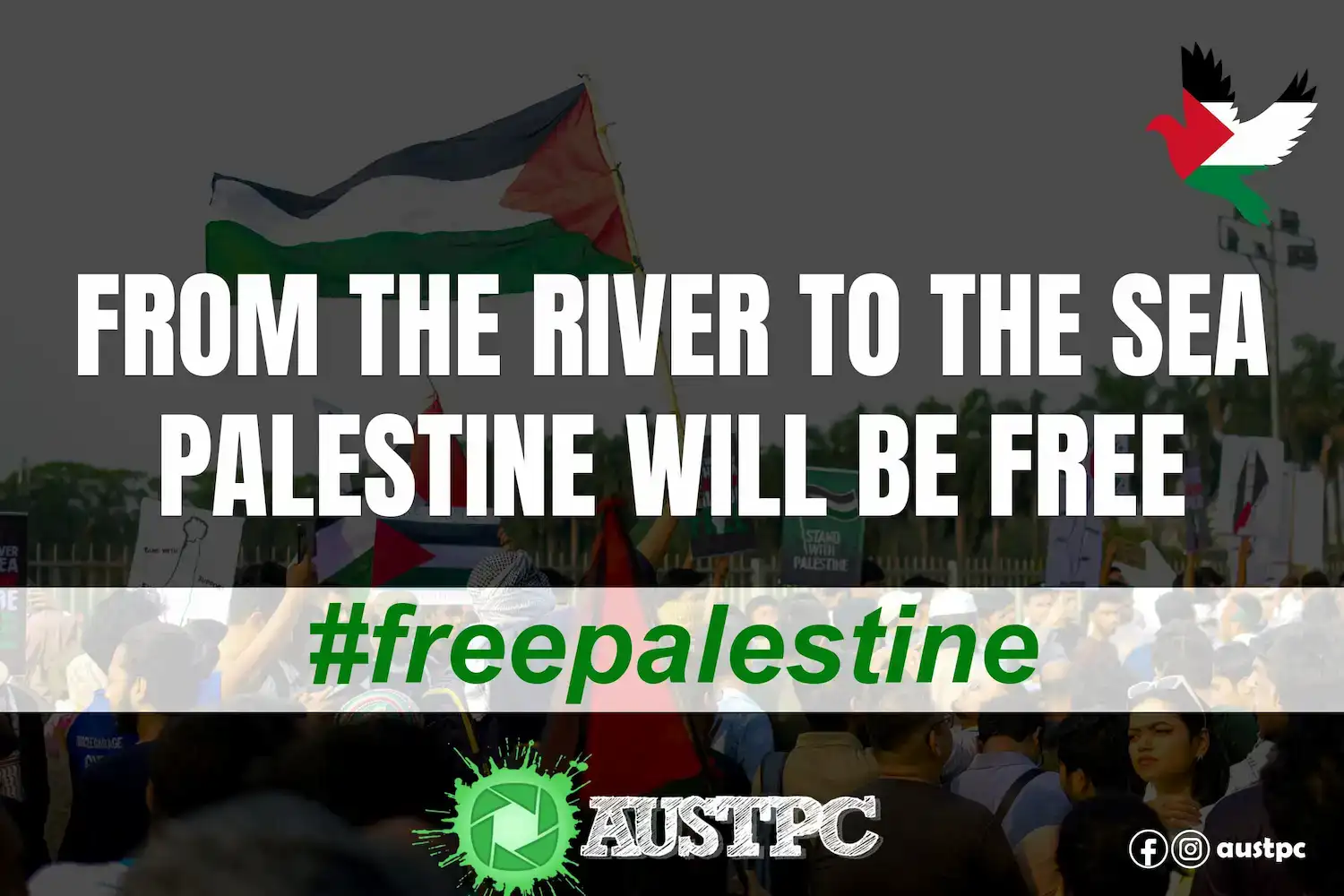 Free Palestine Poster